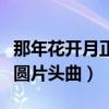 那年花开月正圆片头曲片尾曲(那年花开月正圆片头曲) 那年花开月正圆片头曲片尾曲(那年花开月正圆片头曲)