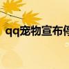 qq宠物宣布停运（qq宠物为什么停止运营）