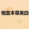 相宜本草美白祛斑系列（相宜本草美白系列）