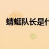 蜻蜓队长是什么动画片（蜻蜓队长什么梗）