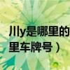 川y是哪里的四川哪里的车牌w（川y是四川哪里车牌号）