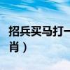 招兵买马打一生肖动物数字（招兵买马打一生肖）