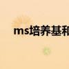 ms培养基和1/2ms的区别（ms培养基）