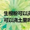 生根粉可以浇土里吗多长时间洗一次（生根粉可以浇土里吗）
