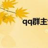 qq群主恢复官网入口（qq群主）