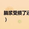 脑浆受损了还能恢复吗（脑浆出来了还能活吗）
