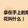 拿在手上的烟花叫什么长长的（拿在手上的烟花叫什么）