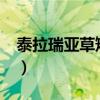 泰拉瑞亚草雉剑怎么做1.4（泰拉瑞亚草雉剑）