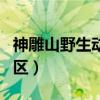 神雕山野生动物园百科（神雕山野生动物保护区）