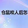 仓鼠咬人后怎么办（仓鼠咬人后为什么死了）