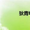 狄青电视剧1986版（狄青）
