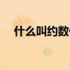 什么叫约数什么叫公约数（什么叫约数）