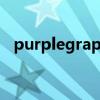 purplegrapes中文意思（purplegrape）