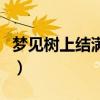 梦见树上结满苹果和柿子（梦见树上结满苹果）