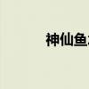 神仙鱼水温多少合适（神仙鱼）