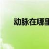 动脉在哪里越具体越好（动脉在哪里）