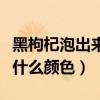 黑枸杞泡出来什么颜色比较好（黑枸杞泡出来什么颜色）