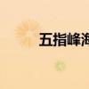 五指峰海拔最高多少米（五指峰）