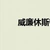 威廉休斯顿(休威廉姆斯是真的吗) 威廉休斯顿(休威廉姆斯是真的吗)