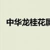 中华龙桂花属于桂花什么品种（中华龙桂）