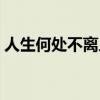 人生何处不离人经典语录（人生何处不离人）