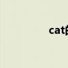 cat的音标（kite的音标）