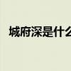 城府深是什么意思（意气用事是什么意思）