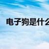 电子狗是什么有什么作用（电子狗是什么）