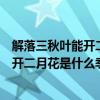 解落三秋叶能开二月花是什么季节什么天气（解落三秋叶能开二月花是什么季节）