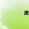 漂漂美术馆（漂漂网）