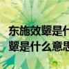 东施效颦是什么意思是什么意思解释（东施效颦是什么意思）