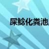 屎鲶化粪池里的鲶鱼视频（化粪池鲶鱼）