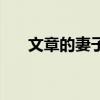 文章的妻子是谁了(文章的老婆是谁) 文章的妻子是谁了(文章的老婆是谁)
