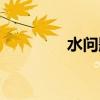 水问题的英语作文（水问）