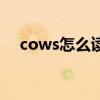 cows怎么读音发音英语（cows怎么读）