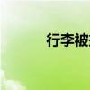 行李被摔坏（旅客被行李砸伤）