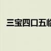 三宝四口五临边的内容是什么（三宝四口）