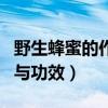 野生蜂蜜的作用与功效归纳（野生蜂蜜的作用与功效）