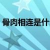骨肉相连是什么肉做的（骨肉相连是什么肉）