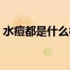 水痘都是什么样子的（水痘什么样子的图片）