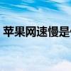 苹果网速慢是什么原因（网速慢是什么原因）