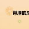 带厚的成语大全（带厚字的成语）