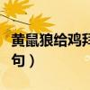 黄鼠狼给鸡拜年歇后语（兔子尾巴歇后语下一句）