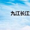 九江长江大桥图片（九江长江大桥）
