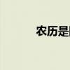 农历是阴历还是阳历（农历是）