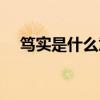 笃实是什么意思思政（笃实是什么意思）