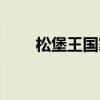 松堡王国家具售后电话（松堡王国）