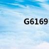 G6169K05C8福睿斯（g6169）