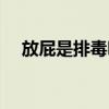 放屁是排毒吗有好处吗（放屁是排毒吗）