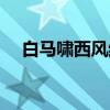 白马啸西风结尾一句（白马啸西风结尾）